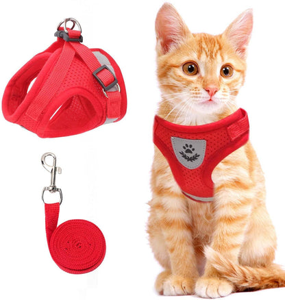 🐈Cat & Dog Vest Harness🐕 All Weather Mesh, Reflective Strap💝Adjustable Step-in Harness for Small Pets