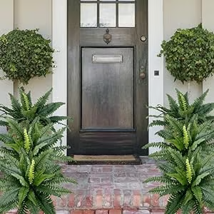 🔥Last Day 75% OFF🔥Realistic artificial Boston fern🌿