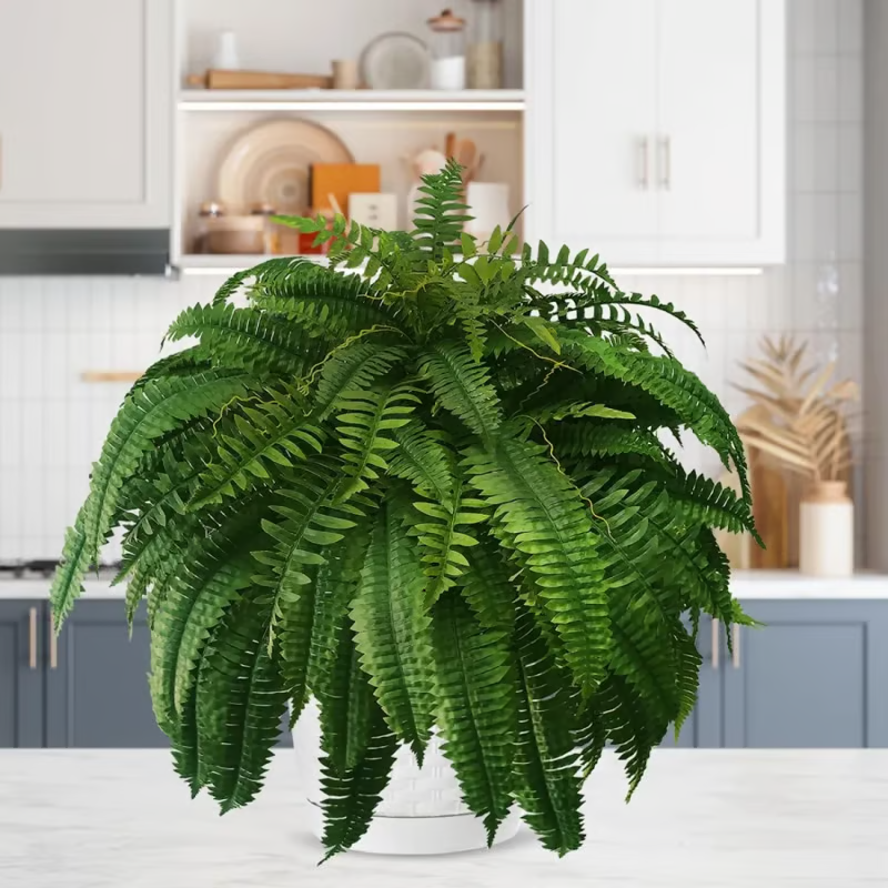 🔥Last Day 75% OFF🔥Realistic artificial Boston fern🌿