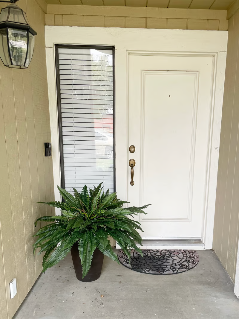 🔥Last Day 75% OFF🔥Realistic artificial Boston fern🌿