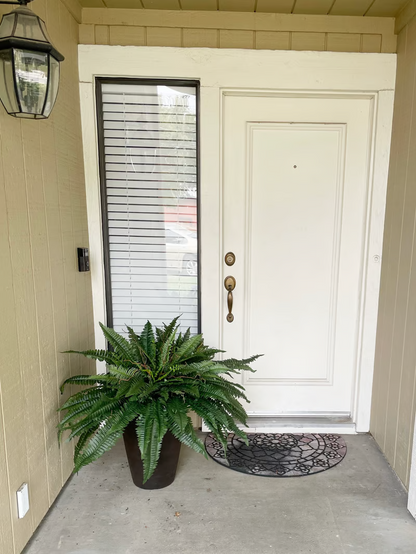 🔥Last Day 75% OFF🔥Realistic artificial Boston fern🌿