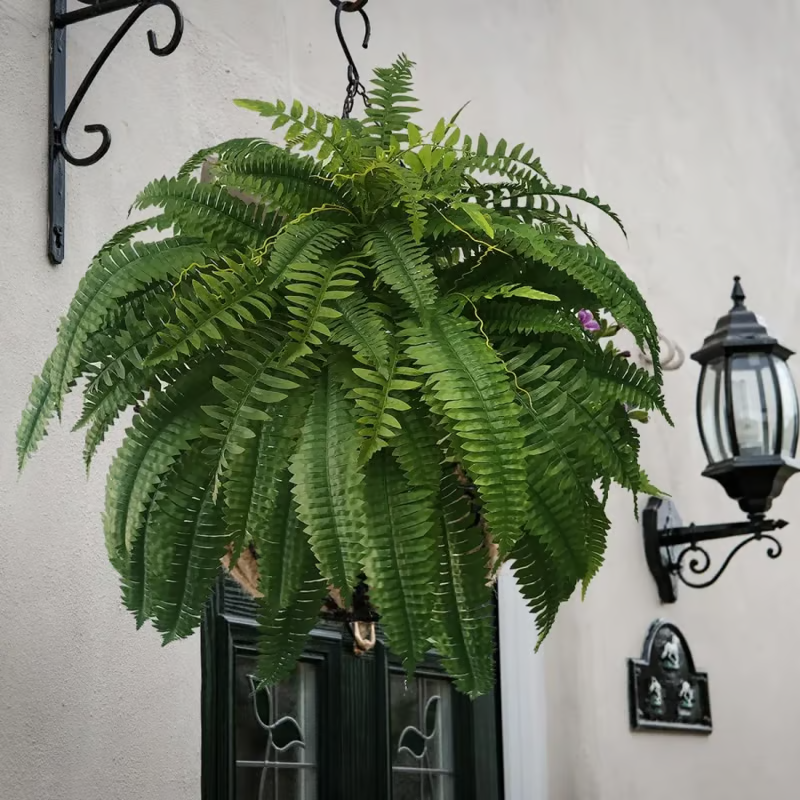 🔥Last Day 75% OFF🔥Realistic artificial Boston fern🌿