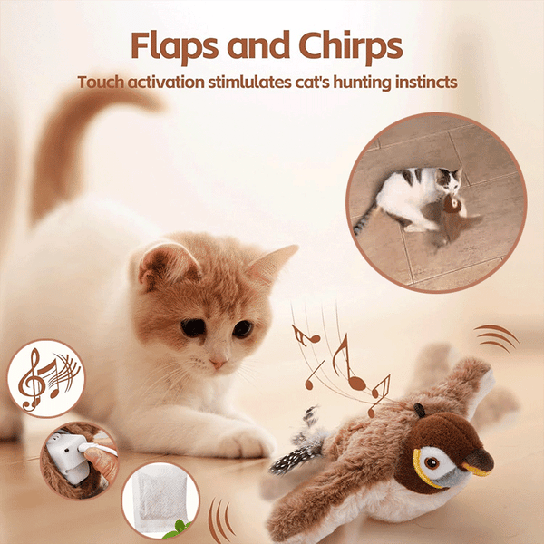 🔥🐾Interactive Chirping Bird Cat Toy