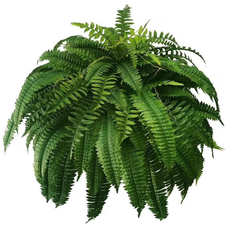🔥Last Day 75% OFF🔥Realistic artificial Boston fern🌿